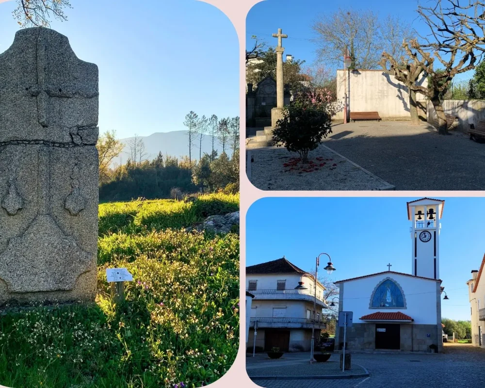 fotos site quinta (1)